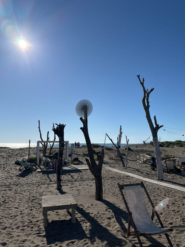 Driftwood art installations spotted on Tarquinia beach under clear skies