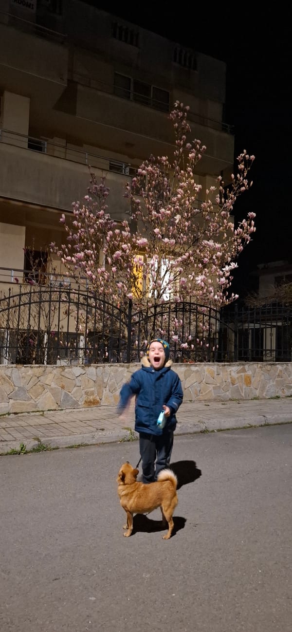 Spring blooms illuminate nighttime streets in Burgas, Bulgaria