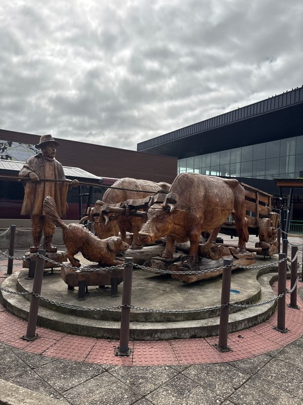 Afternoon scenes in Osorno: local sculpture and restaurant meals