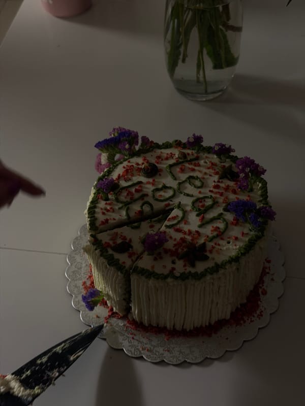21st birthday celebrated at home in Vračar, Belgrade
