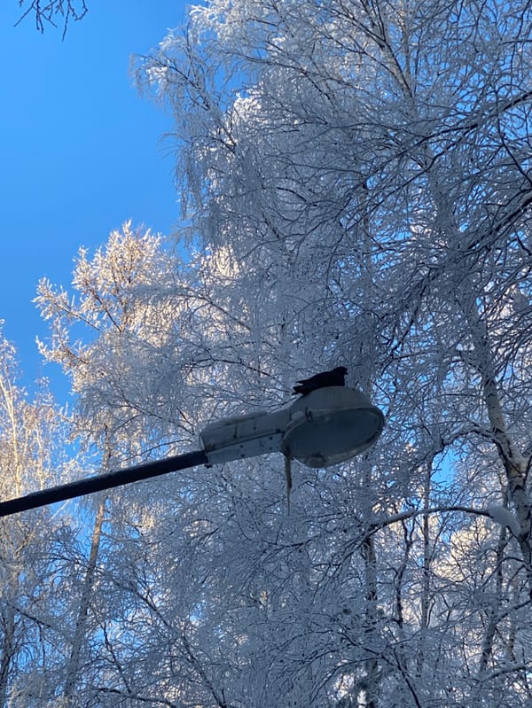 Winter scenes documented in Ust-Ilimsk show frost-covered playground