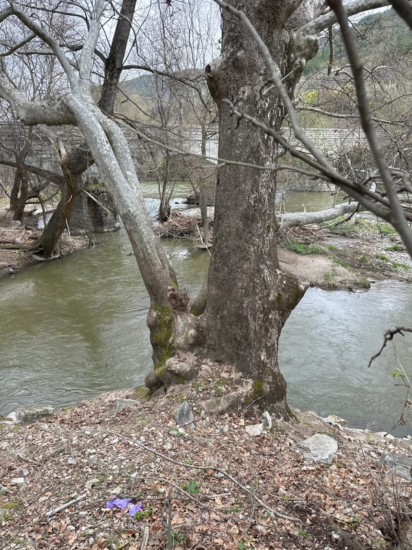 Man exercises on bridge, scenic river views documented in Bulgaria