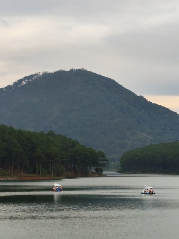 Swan pedal boats spotted at Da Lat lake under cloudy skies