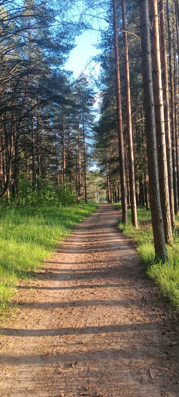Summer afternoon scenes documented across Chaikovsky, Russia