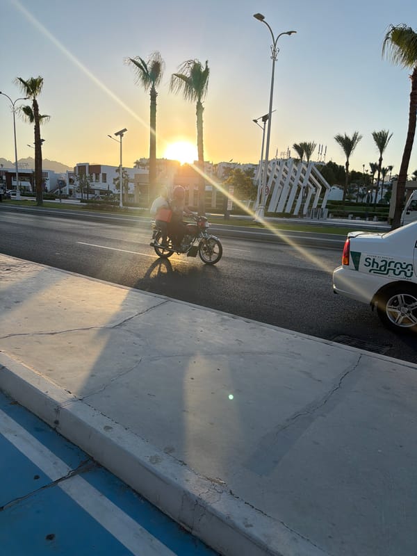 Sunset hour along Sharm El Sheikh's palm-lined resort strip