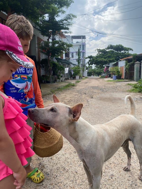 Family Beach Vacation Moments Documented in Vietnam Resort Towns