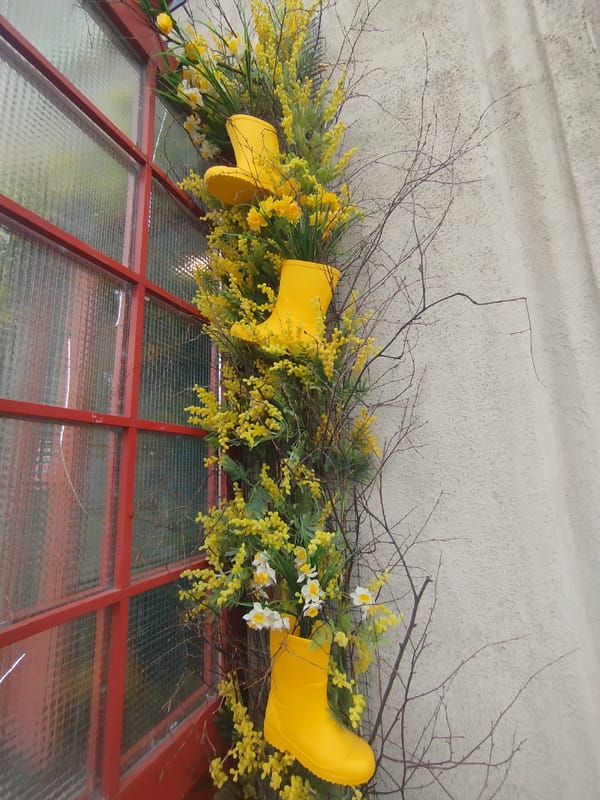 Yellow flowers and boots arranged near red window in Izhevsk