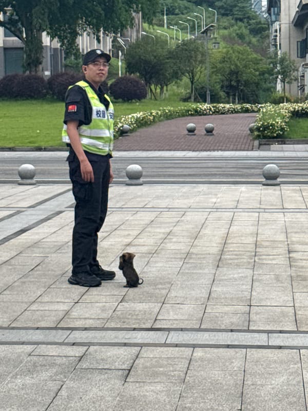 Morning street scenes documented across Jiangjin district, China