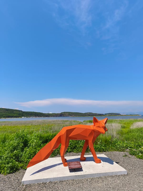 Russky Island in bloom: fox sculpture, coastal meadows, wild roses