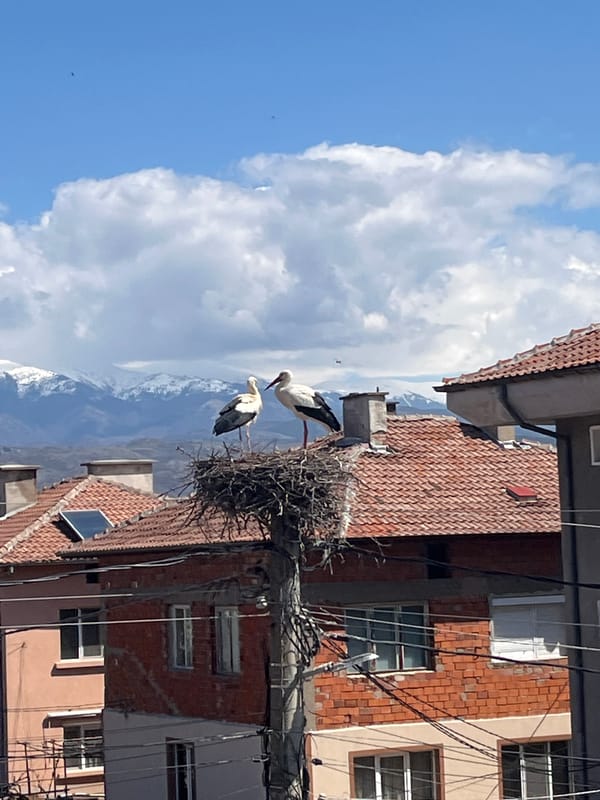User documents platform payment issues in Bulgarian village