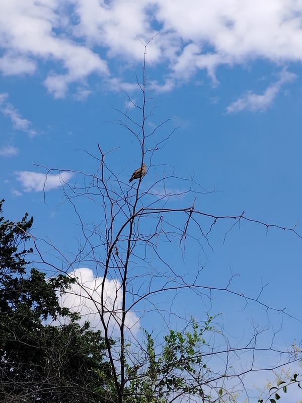 Ordinary afternoon life documented in Tinaquillo, Venezuela