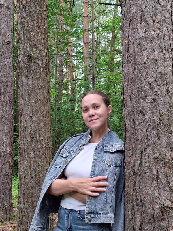 Afternoon walk through a pine forest in Chaikovsky