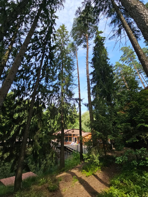 Morning at a forest lake resort in Ulitkino, Russia