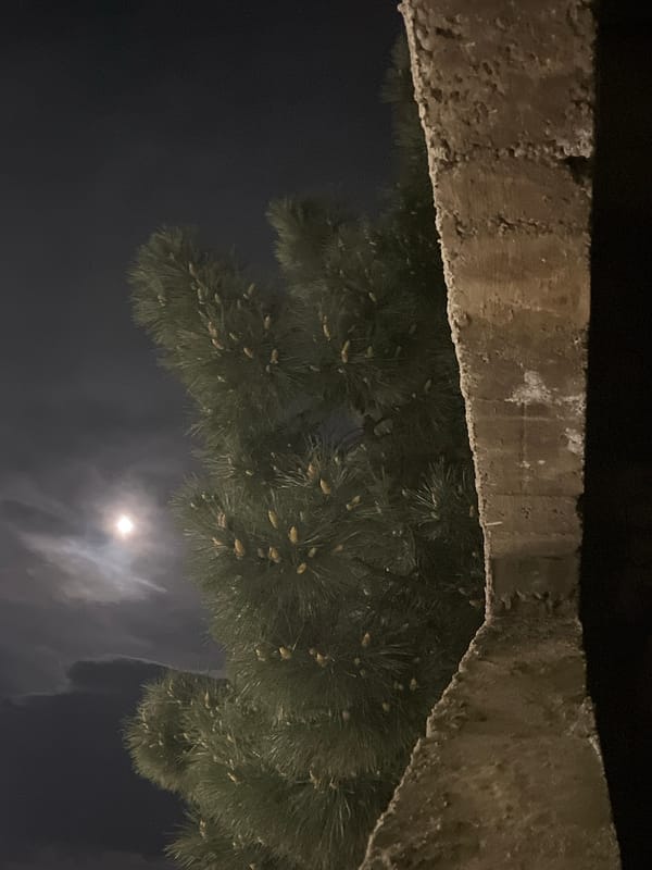 Quiet nighttime scene captured in Budva, Montenegro