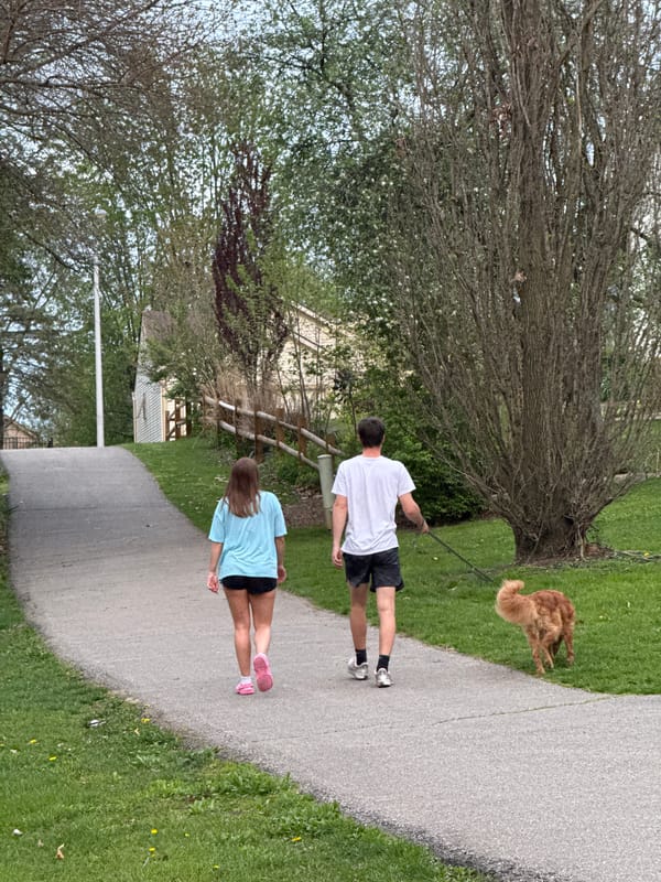 Evening park visit documented in Grove City, Ohio