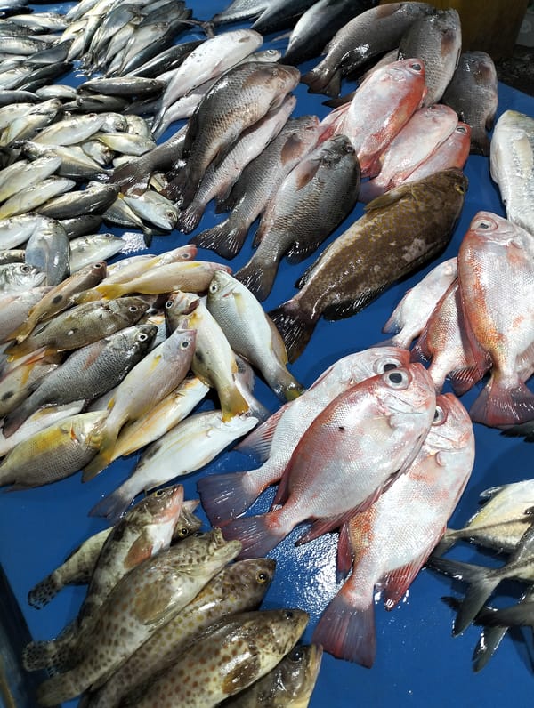 Fresh fish displayed at Lhokseumawe market