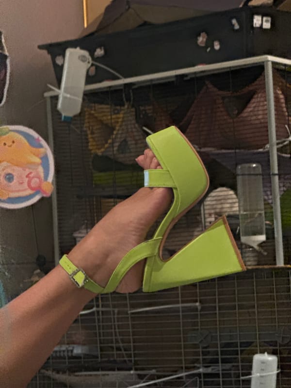 Cats, belly rubs, and a bold sandal in Odesa