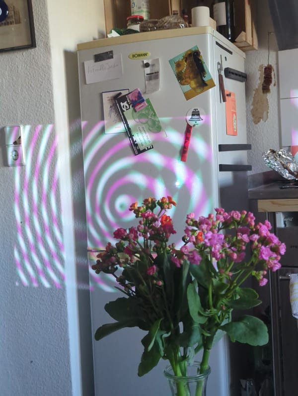 Decorative light patterns illuminate Berlin kitchen refrigerator