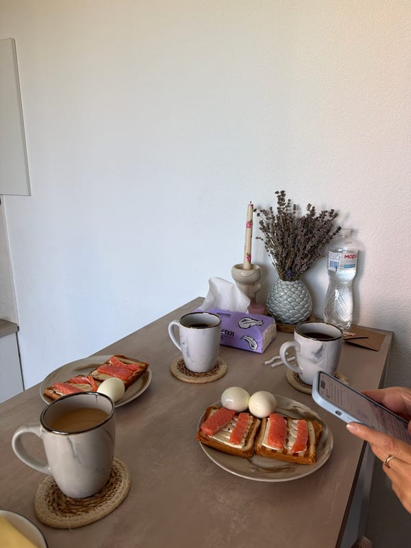 Quiet Kyiv morning: breakfast, a cat, and pink roses
