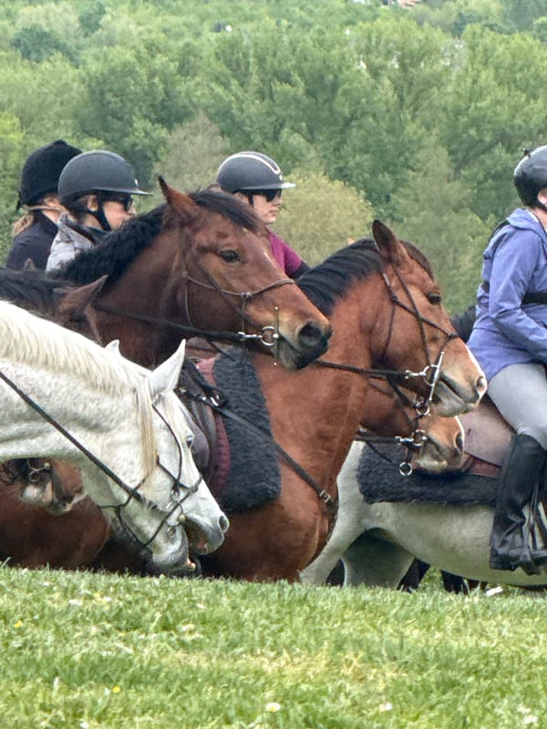 Equestrian competition documented at Château de Saumur, France