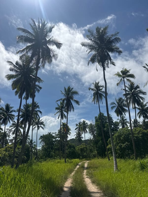 Rural dirt path photographed in Baan Thong Nang, Thailand