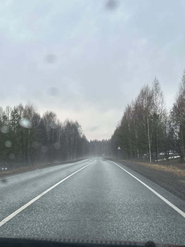 Forest road documented under gray skies in Belaya Gora