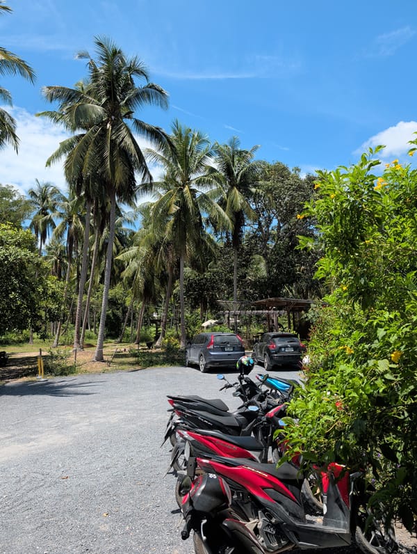 Morning street life captured in Koh Phangan, Thailand