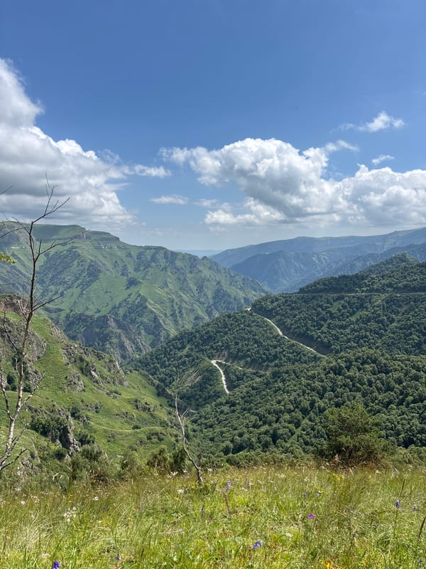 Winding road through a wildflower meadow in the Caucasus mountains