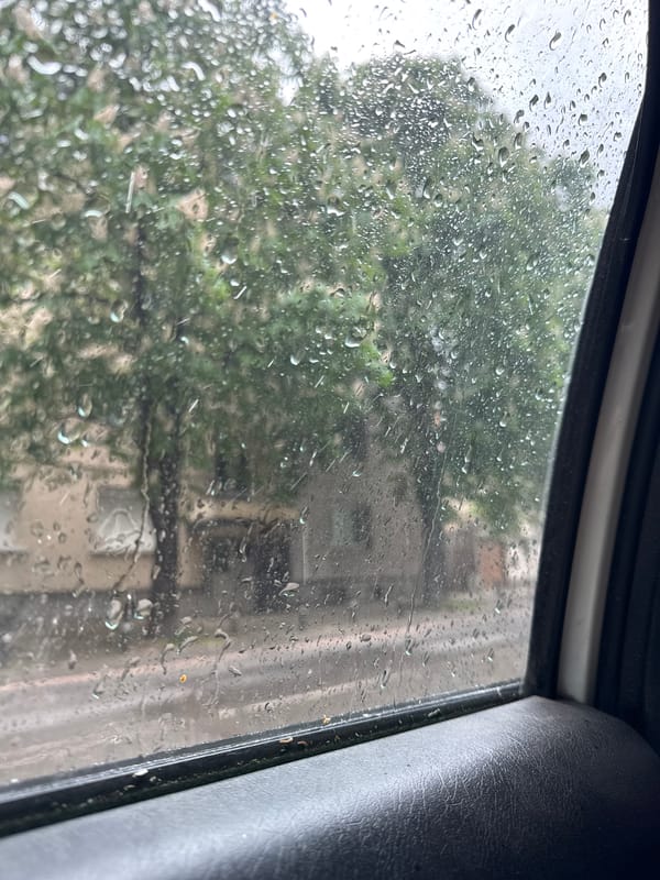 Rain view and flower drawing captured in brief artistic sequence