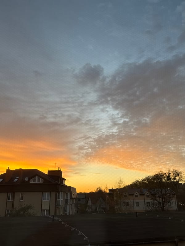 Kaliningrad residents document sunset views across city neighborhoods