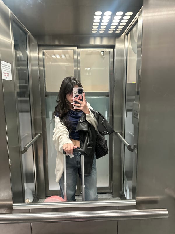 Woman takes elevator selfie in Yerevan