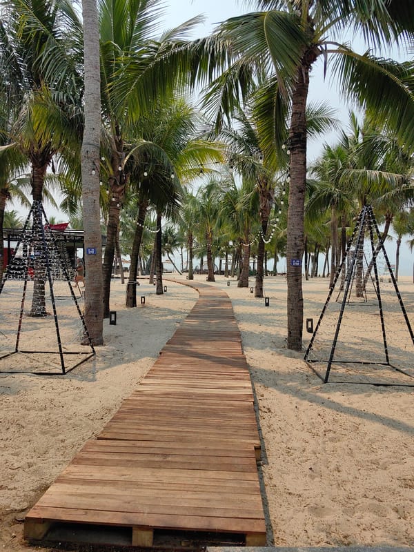 Early morning street scenes documented in Bai Chay Ward