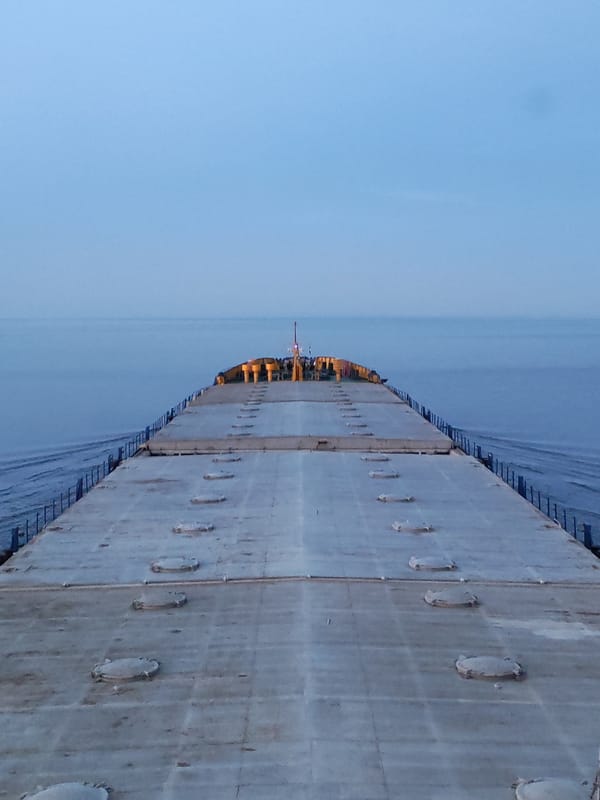 Individual observed operating ship near Bol'shie Mkhi, Russia