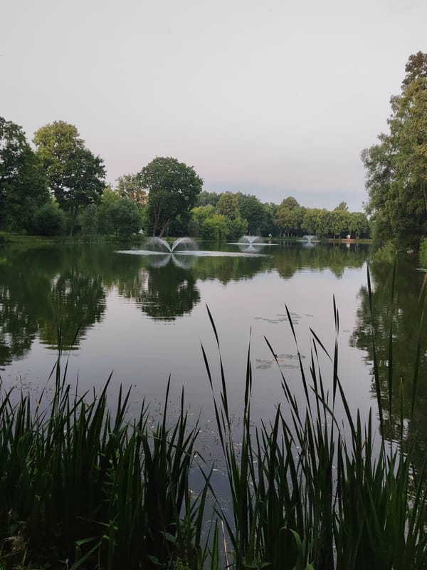 Park, pond, and amphitheater on a summer evening in Chekhov