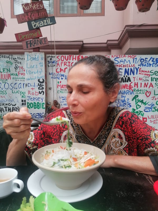 Woman enjoys late-night Vietnamese noodle tour in Bai Chay Ward