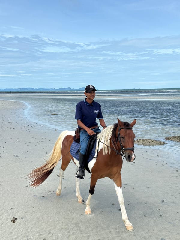 Horseback riding along Ko Samui's overcast shoreline