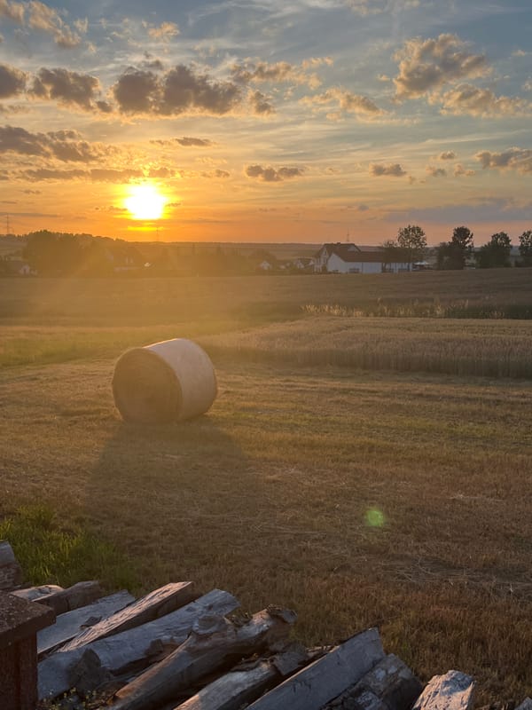 Sunset over rural Neustadt, geraniums in the foreground