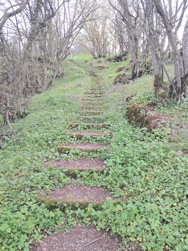 Historic water wheel and stone pathway documented in Musina