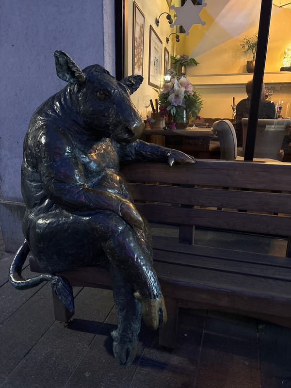 Evening scenes captured in Tallinn's historic city center