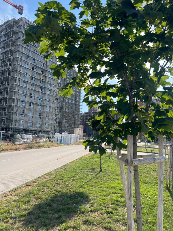Afternoon street-level scenes from a Plovdiv neighborhood