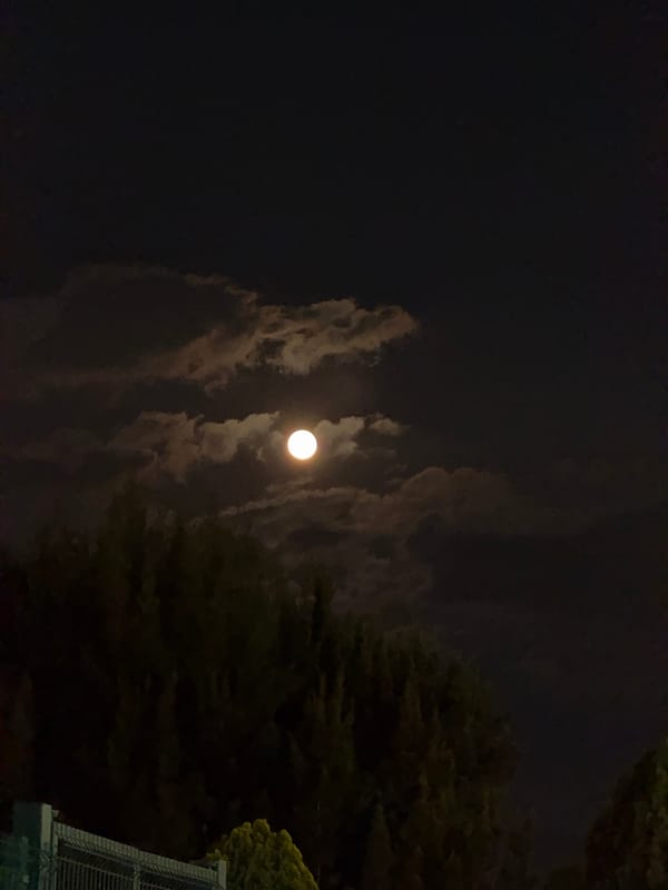 Nighttime scenes documented in San Andrés Cholula, Mexico