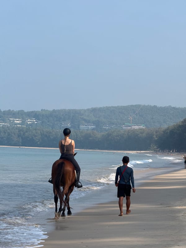Horse and rider traverse beach shoreline in Choeng Thale