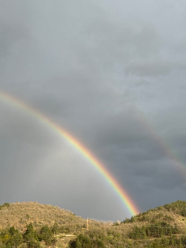 Rainbow appears over hillside during overcast afternoon