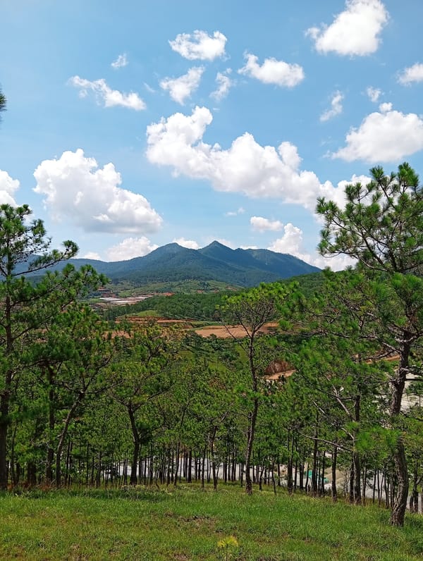 Morning plateau views captured in Vietnam's Da Lat region