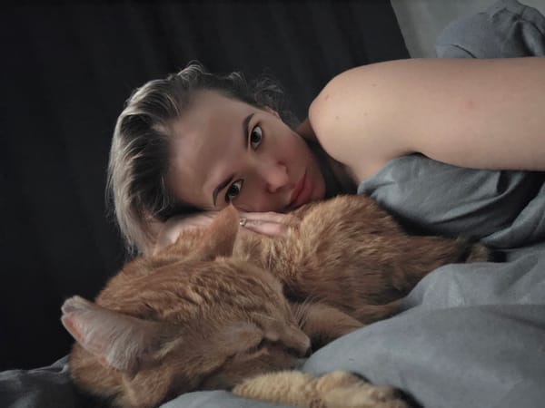 Diapered French Bulldog and toddler spotted in Chaikovsky home