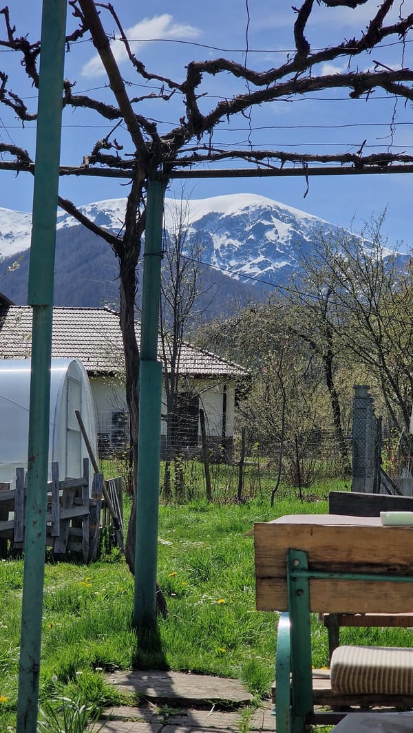 Quiet morning relaxation documented in Apriltsi mountain village