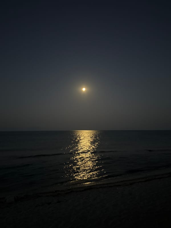 Moonlit beach night on the Kassandra peninsula, Greece