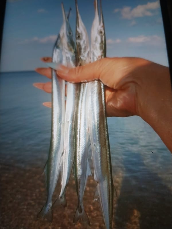 Beach day meets fishing haul, with a surprise reel-side nest