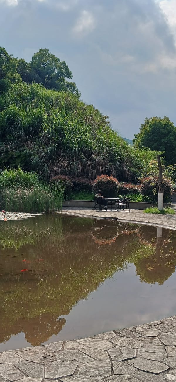 Morning pond reflections captured during Chongqing park walk