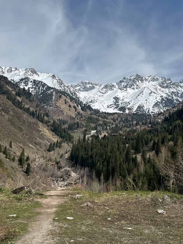 Morning scenes of mountains and dogs documented in Almaty